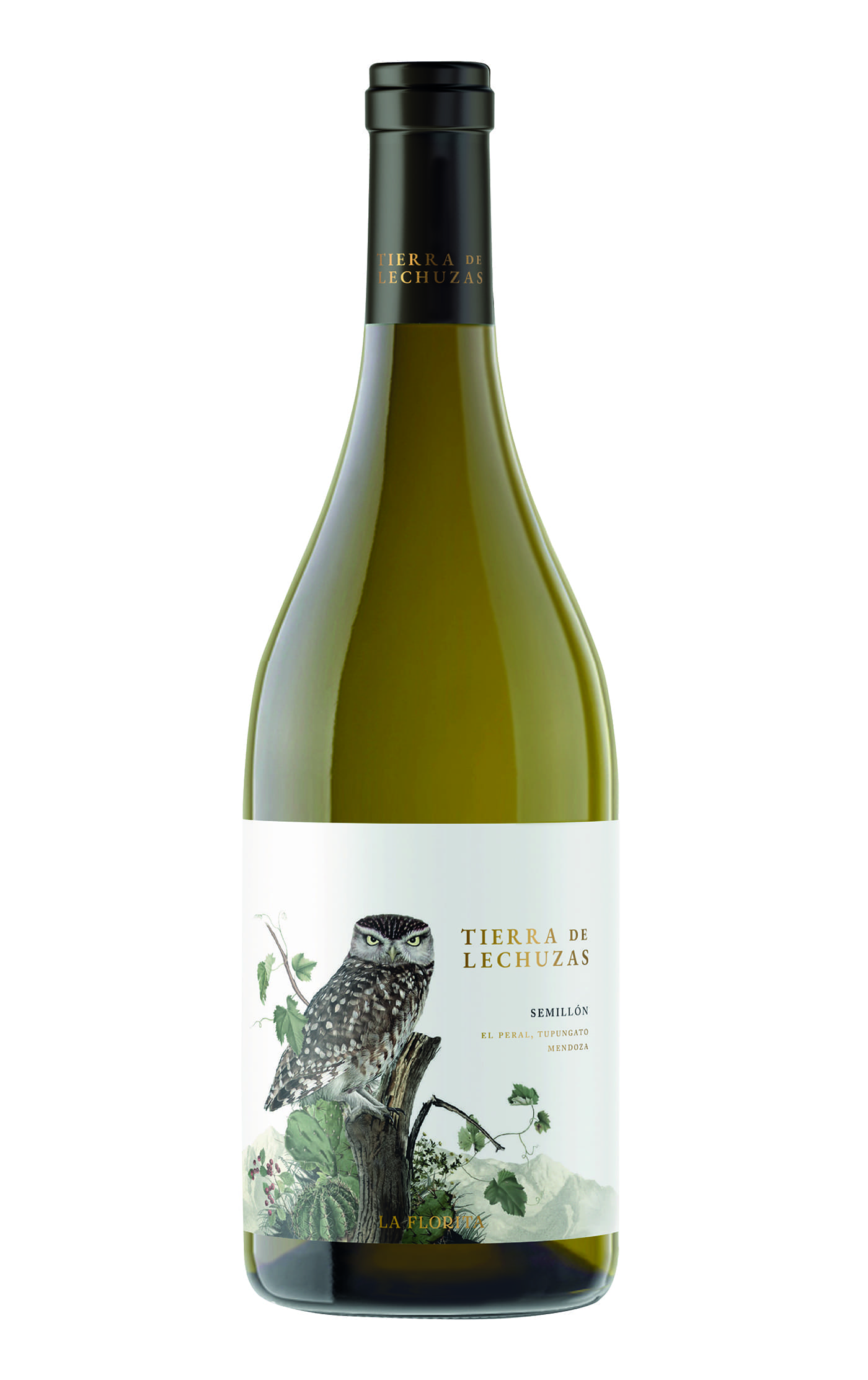 Tierra de Lechuzas Semillón 2022