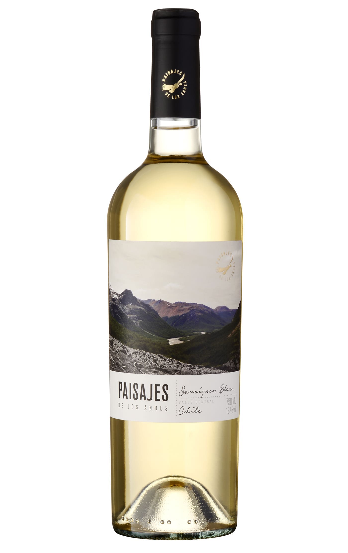 Paisajes de los Andes Sauvignon Blanc 2024