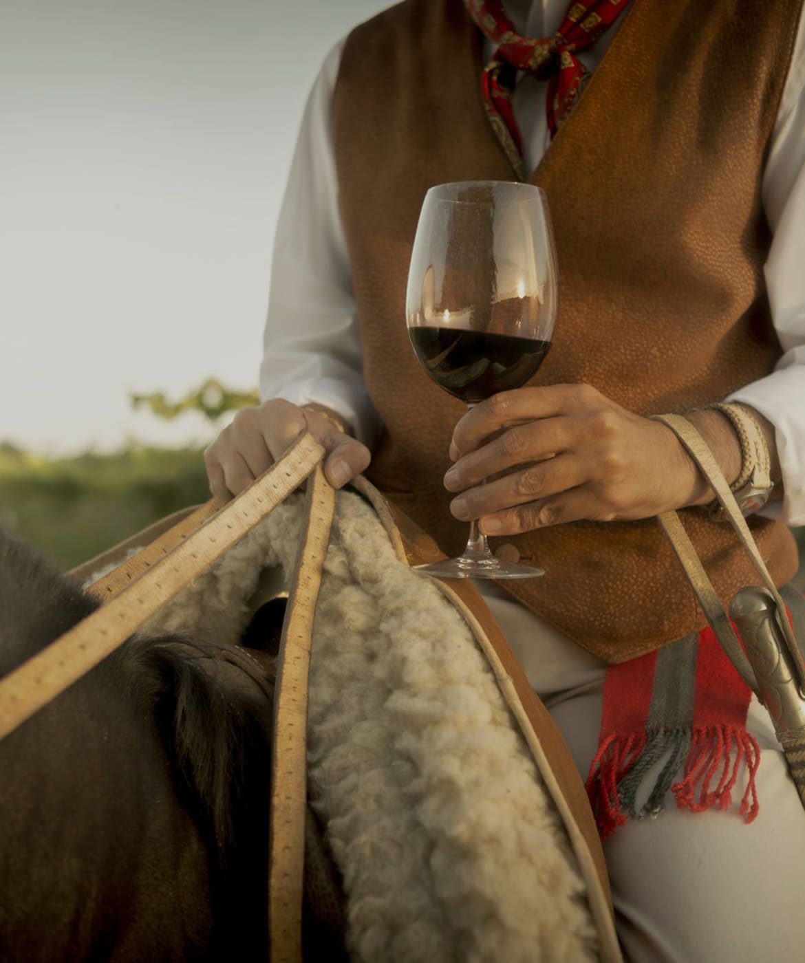 gauchezco-reserve-malbec_p