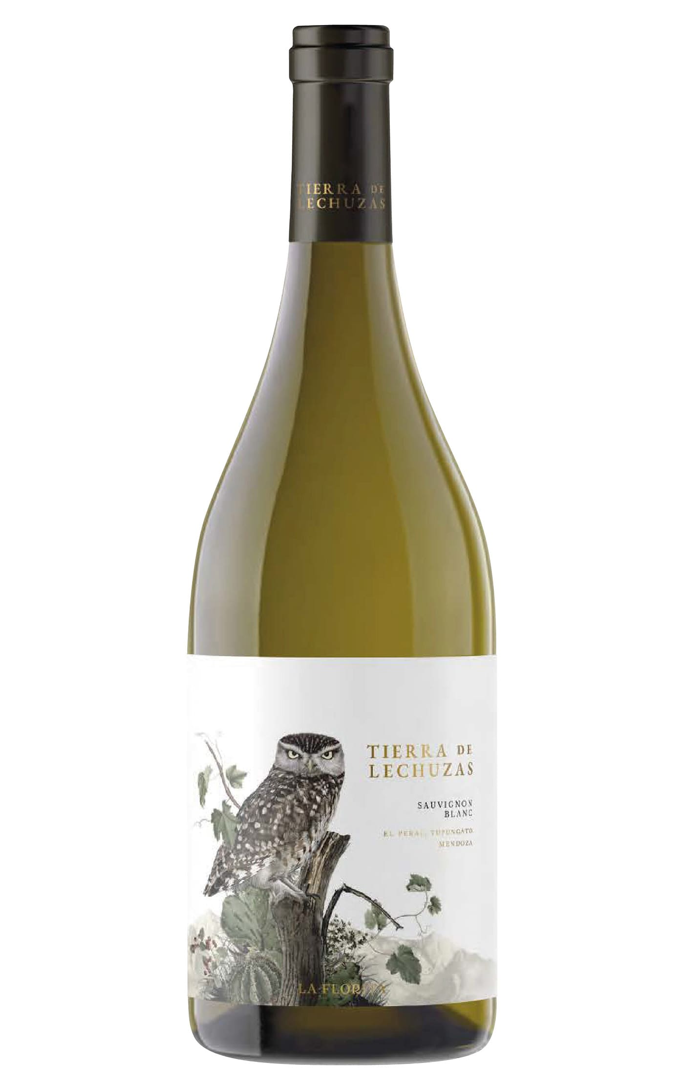 Tierra de Lechuzas Sauvignon Blanc 2022